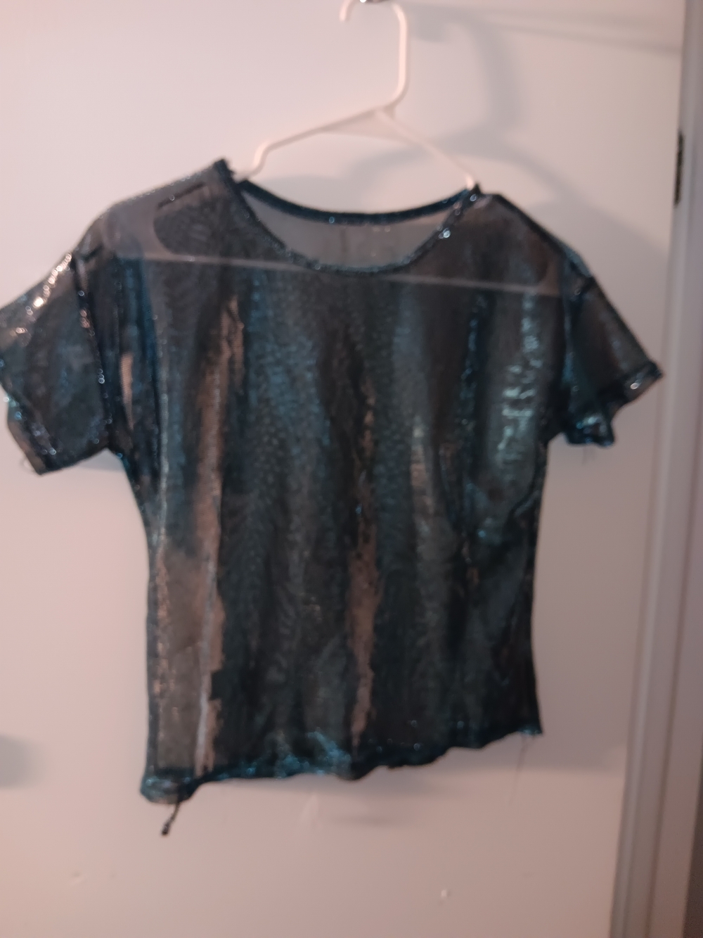 Sheer Shimmery Short-Sleeve Tee - Blue